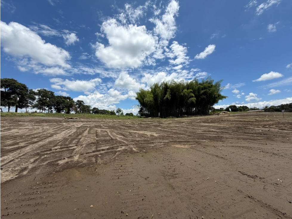 LOTE CAMPESTRE - 4