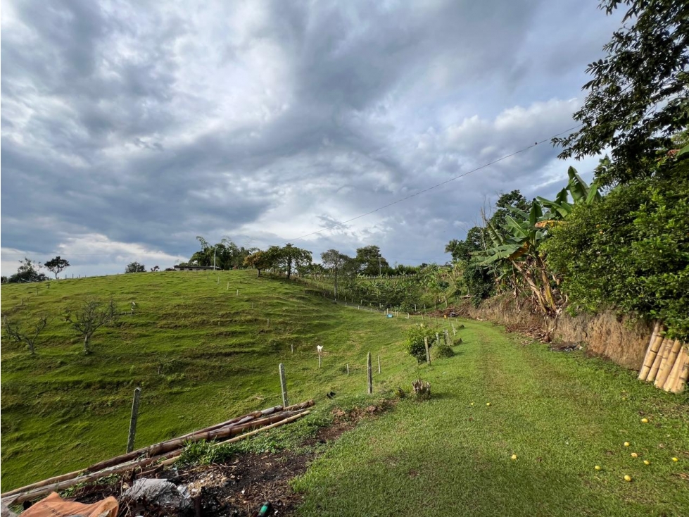FINCA PRODUCTORA — foto 5