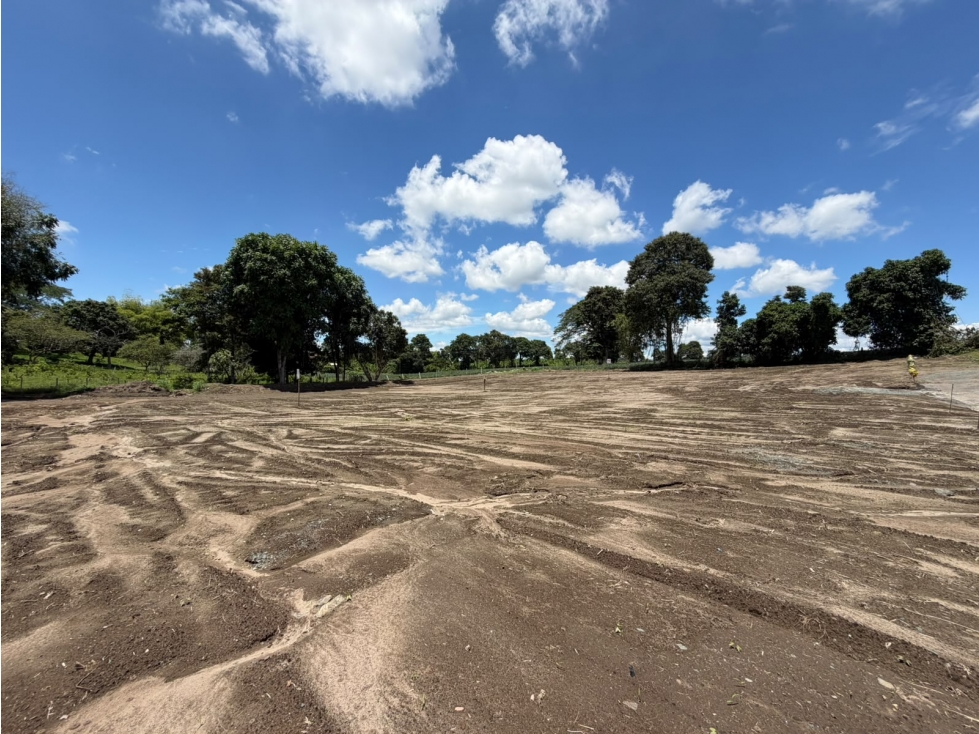 LOTE CAMPESTRE - 5