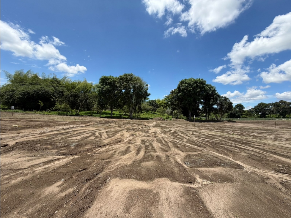 LOTE CAMPESTRE - 6
