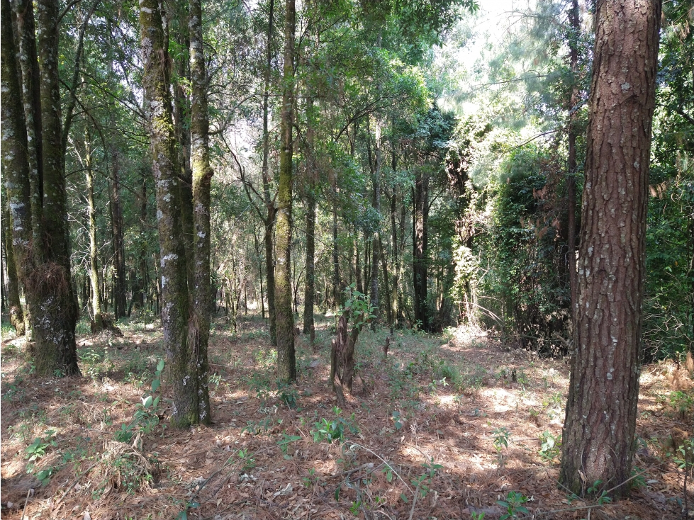 Rancho en Venta ubicado en el Trompillo Valle de Bravo C - 5