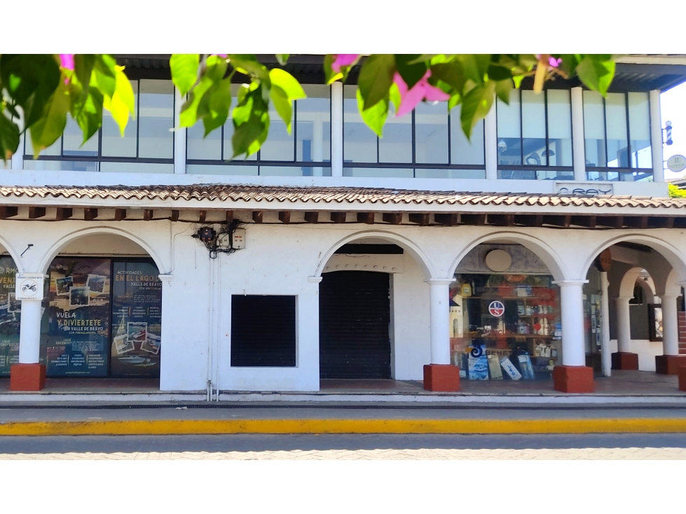 Local en renta P - 6