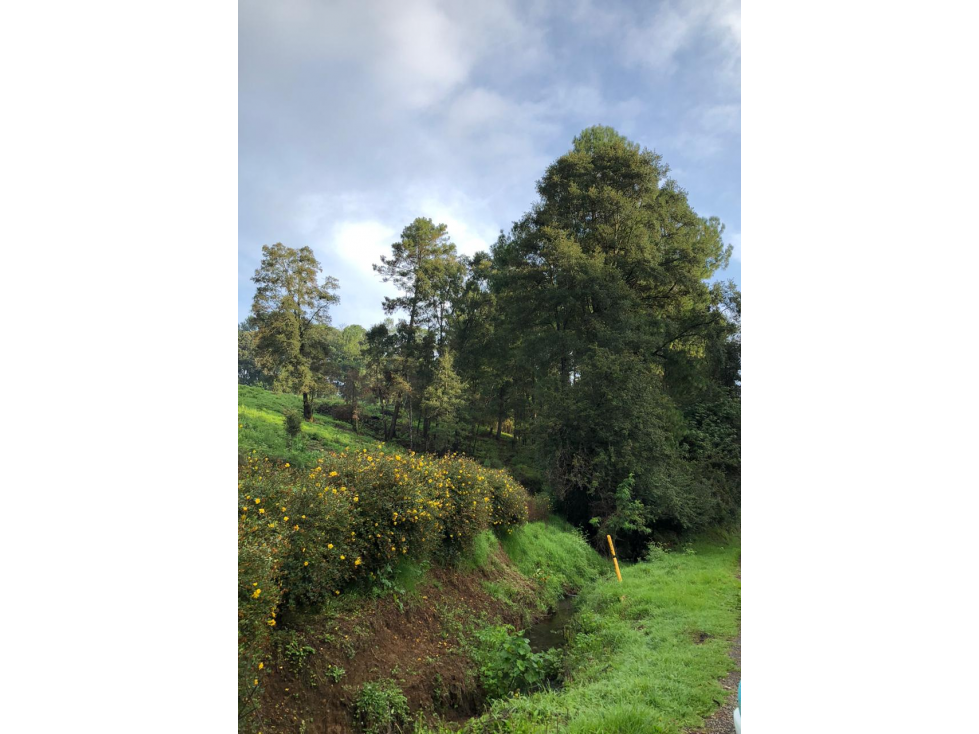 Terreno en Los Saúcos Valle de Bravo C