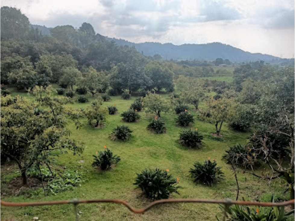 HERMOSO TERRENO EN AMANALCO DE BECERRA