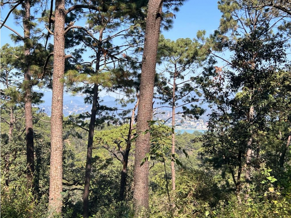 TERRENO EN VENTA ZONA AVANDARO P