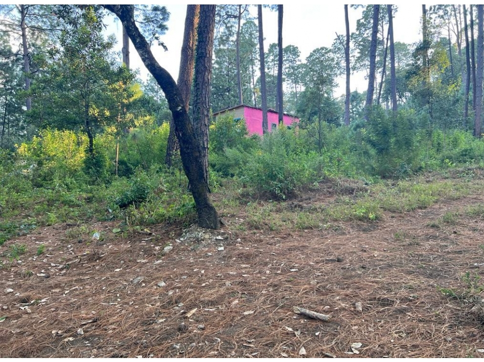 TERRENO EN VENTA EN CERRO GORDO P