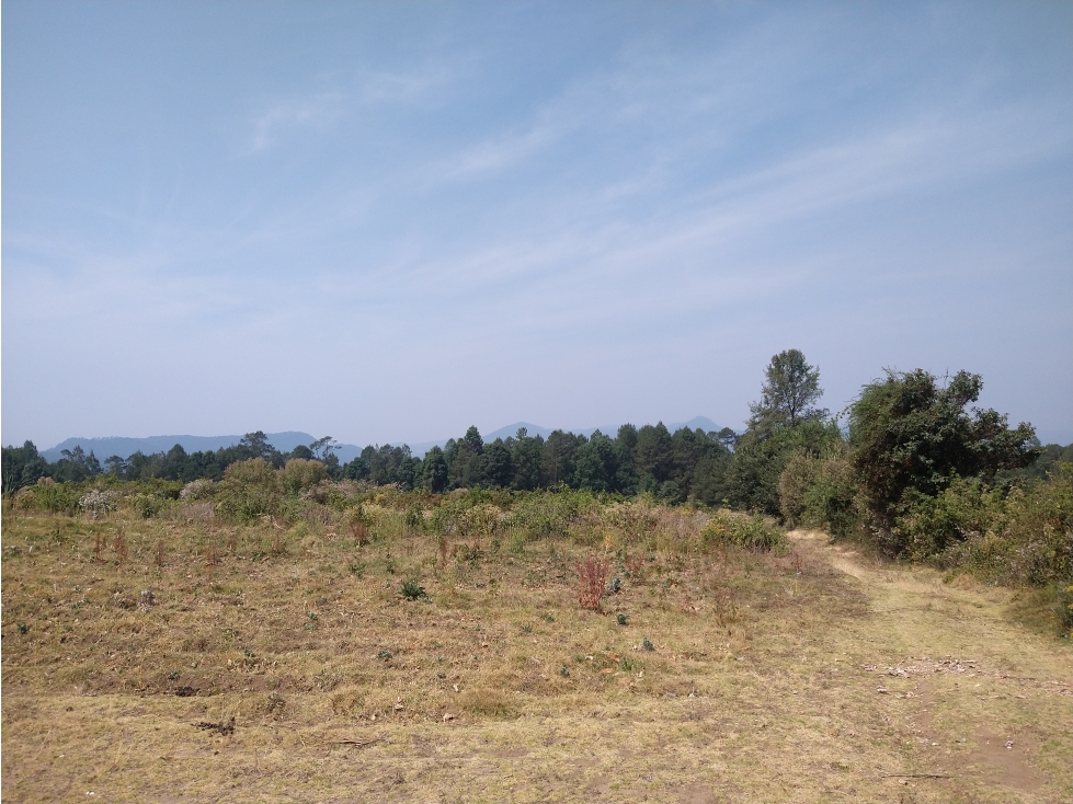 Rancho en Venta ubicado en el Trompillo Valle de Bravo C - 4