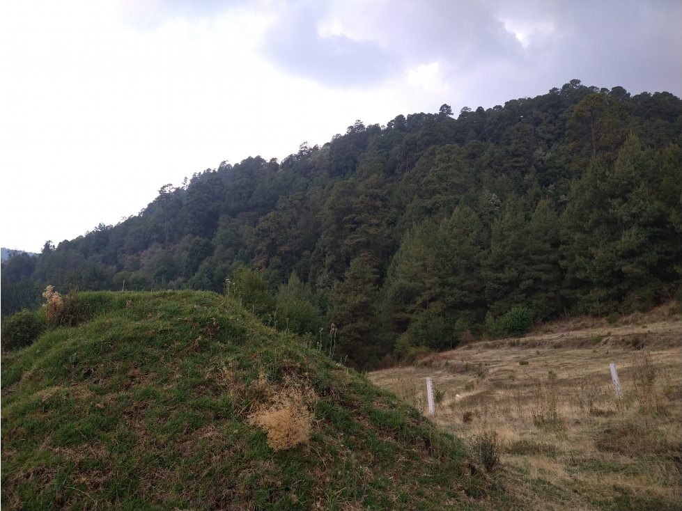 Terreno en Venta los Saúcos Valle de Bravo C — foto 3