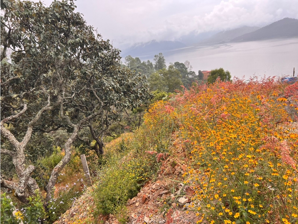 TERRENO EN VENTA EN VALLE DE BRAVO P
