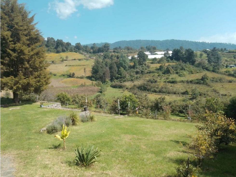 HERMOSO HUERTO EN ZONA PRIVILEGIADA