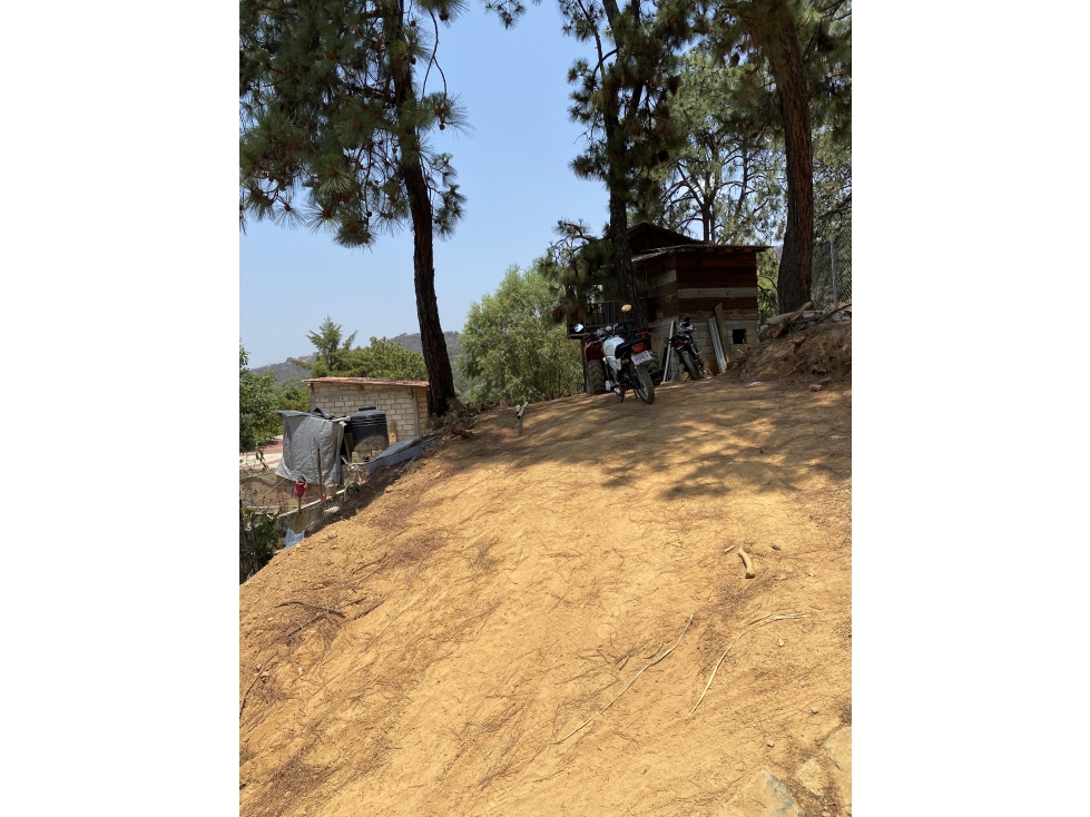 Terreno en venta en colonos M