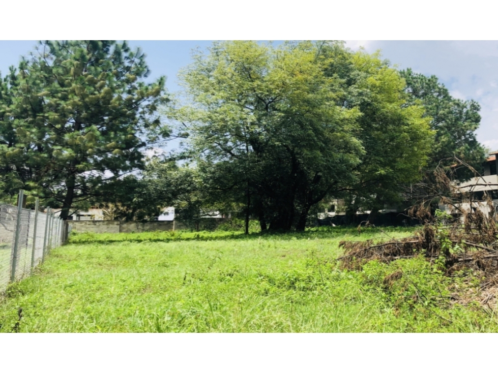 Terreno en renta uso comercial en Avandaro