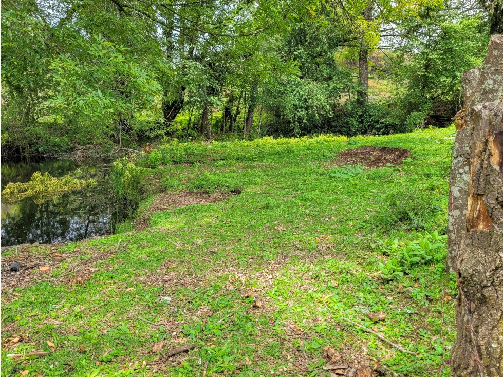 OPORTUNIDAD PARA RANCHO EN VALLE DE BRAVO — foto 6