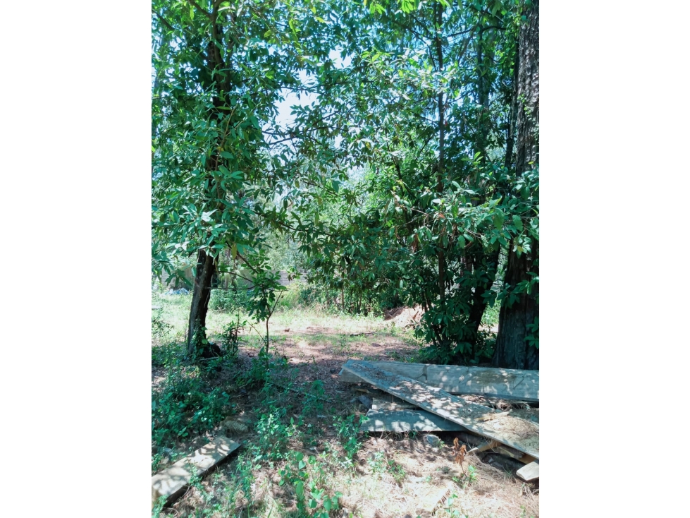 TERRENO EN VENTA EN CERRO GORDO, VALLE DE BRAVO P