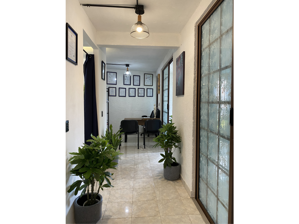 HERMOSOS LOCALES EN RENTA PARA PROYECTO DE PLAZA M - 2
