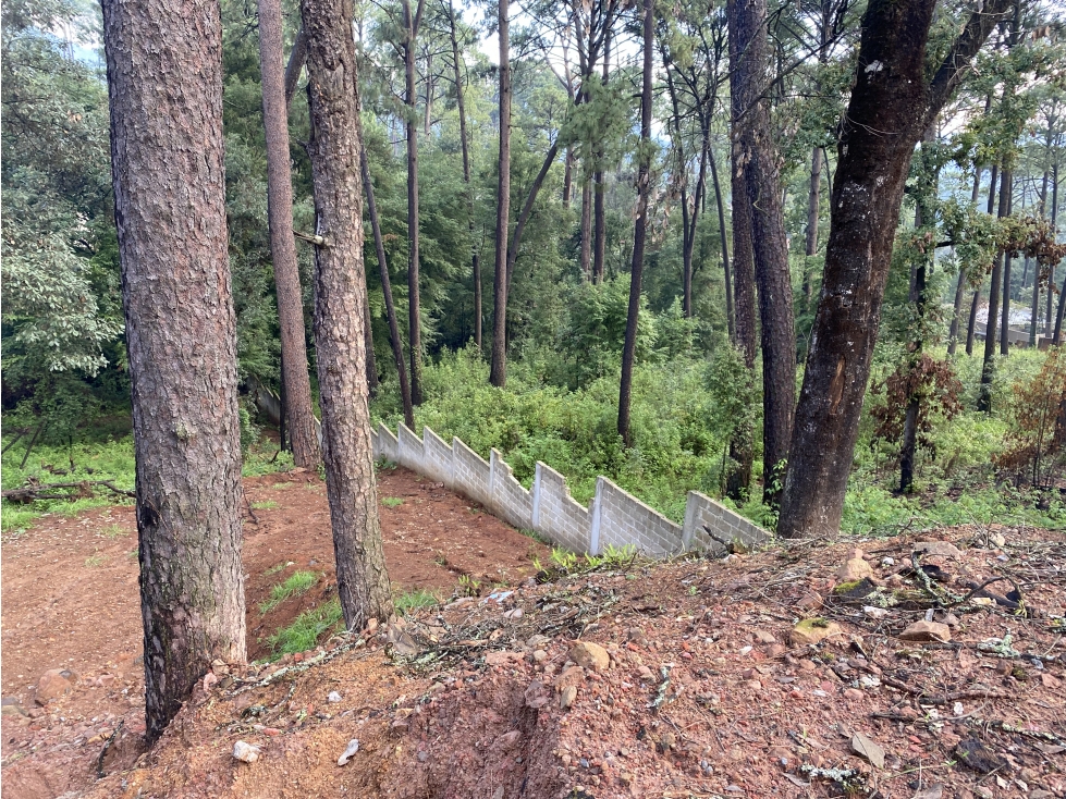 Hermoso Terreno En Valle De Bravo M — foto 5