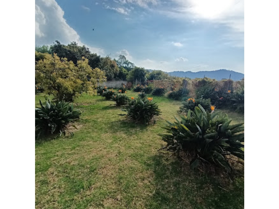 HERMOSO TERRENO EN AMANALCO DE BECERRA — foto 2