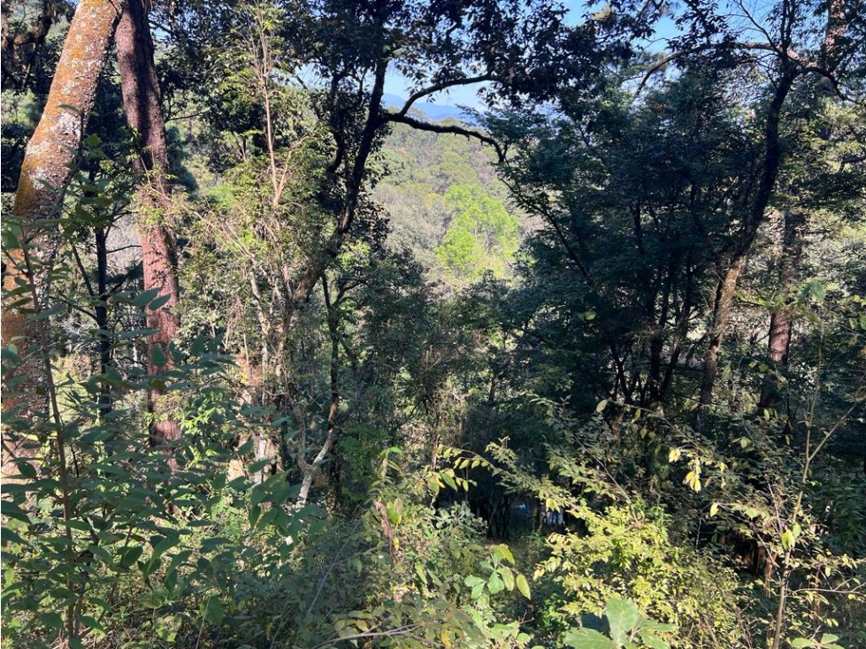 TERRENO EN VENTA ZONA AVANDARO P — foto 2