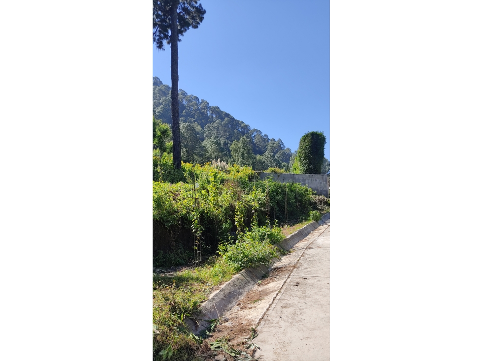 TERRENO EN VENTA EN CERRO GORDO P