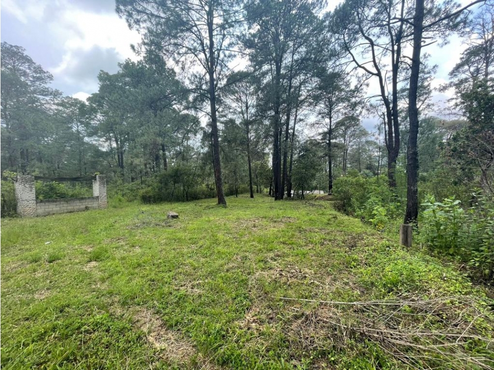 TERRENO EN VENTA EN SAN GABRIEL IXTLA P — foto 2