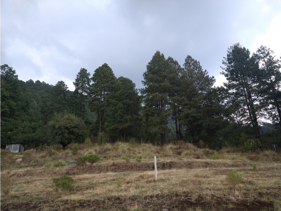 Terreno en Venta los Saúcos Valle de Bravo C — foto 5