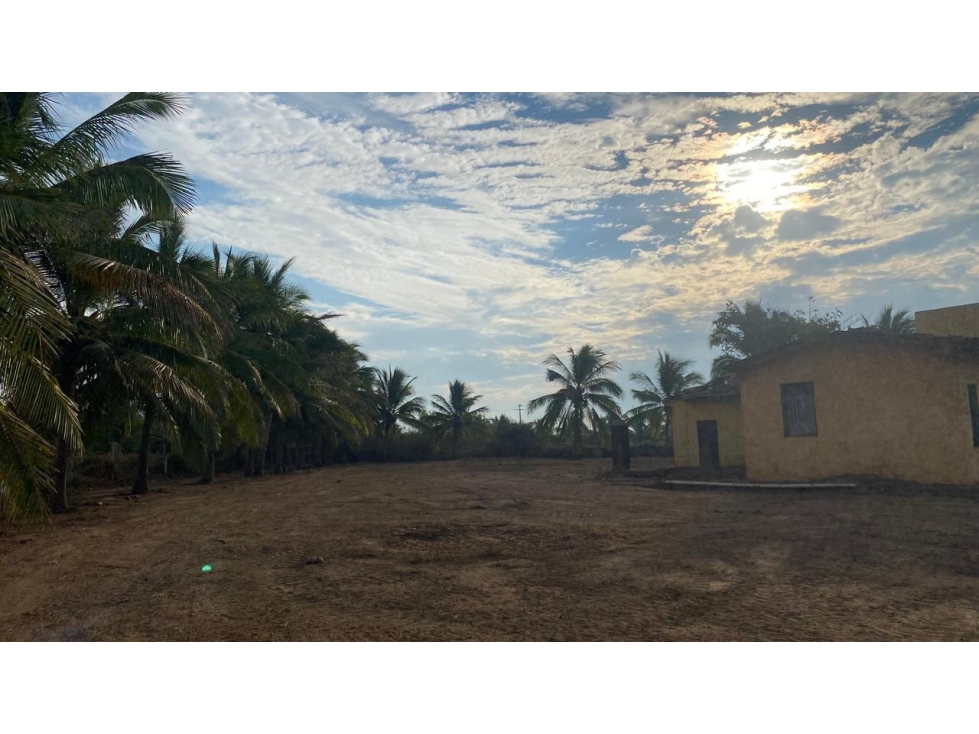 Extraordinaria propiedad en venta en Zihuatanejo - 2
