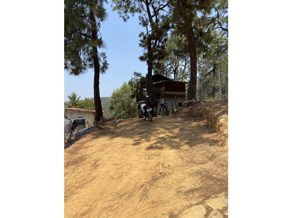 Terreno en venta en colonos M — foto 2