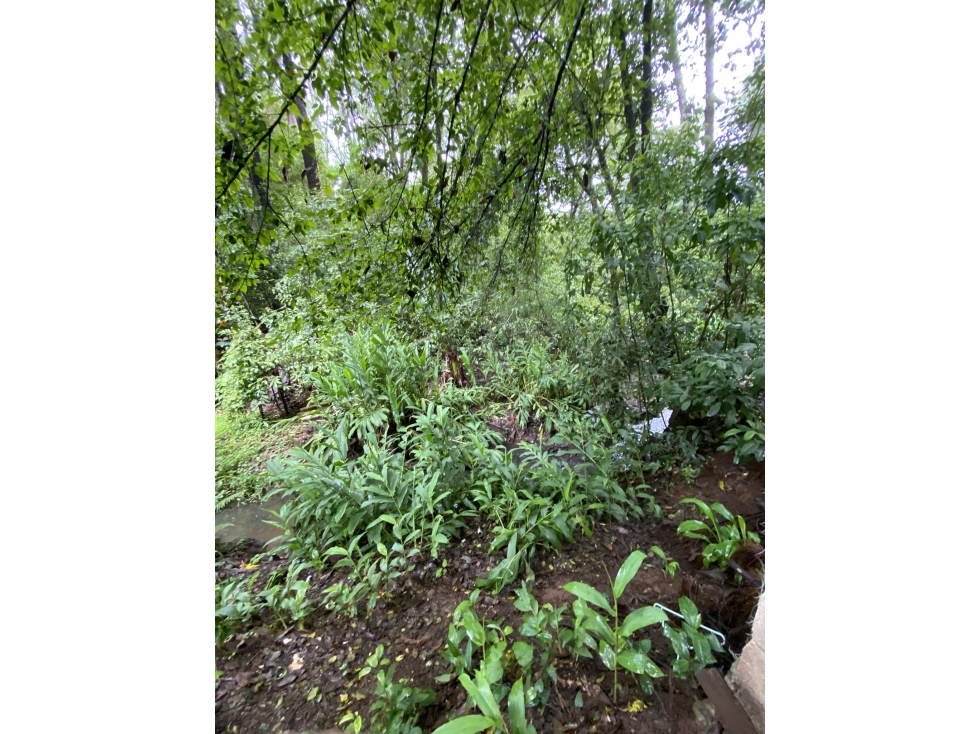 Terreno en venta, zona casas viejas M — foto 2