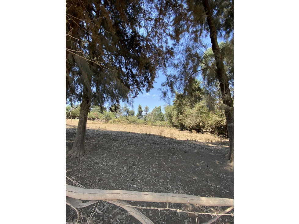 Terreno en Acatitlan a pie de calle M — foto 2