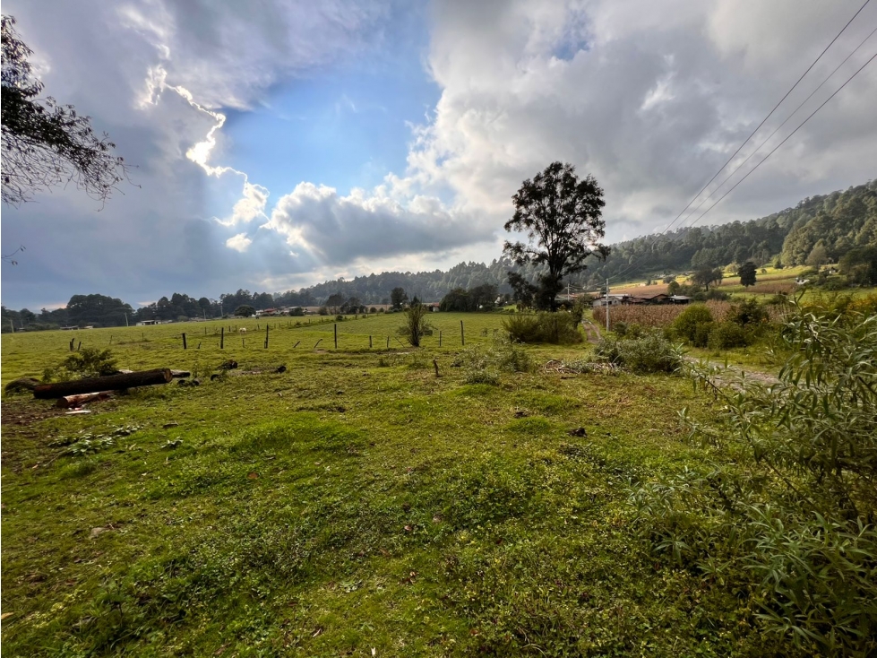 TERRENO EN VENTA EN LOS SAUCOS P