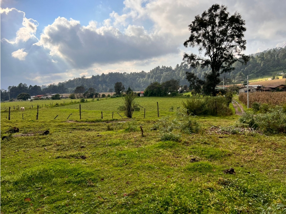 TERRENO EN VENTA EN LOS SAUCOS P — foto 4