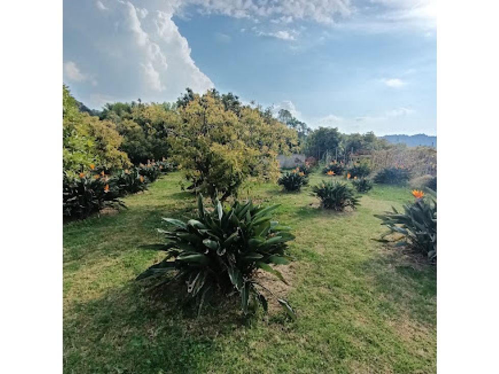 HERMOSO TERRENO EN AMANALCO DE BECERRA — foto 3