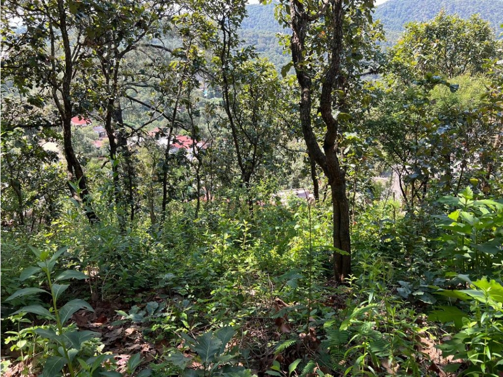 TERRENO EN VENTA EN VALLE DE BRAVO. - 4