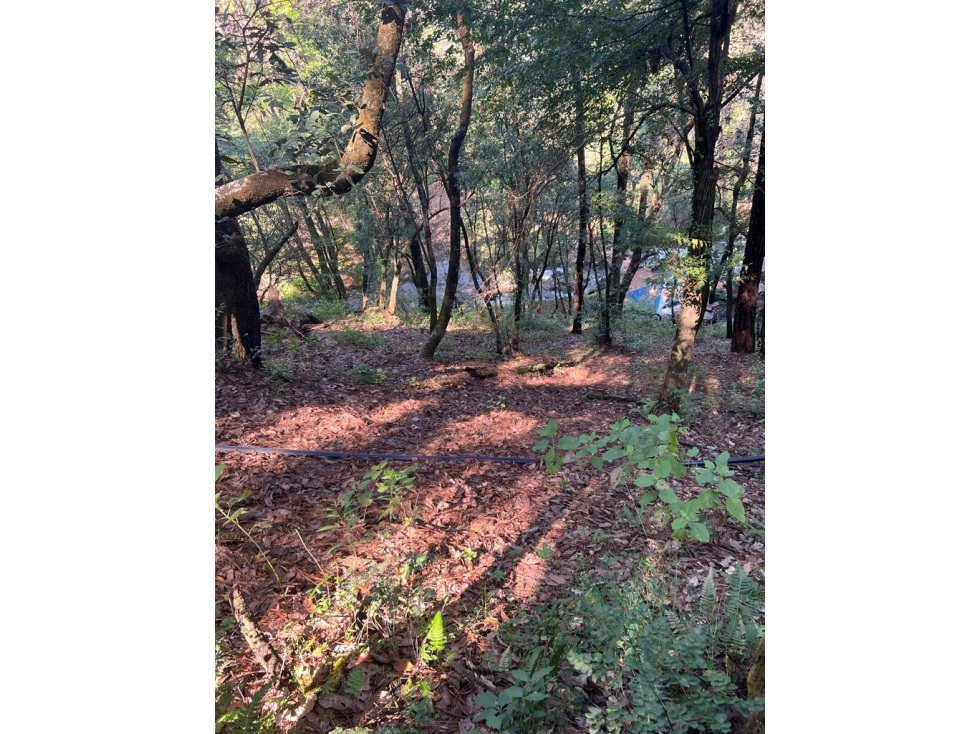 TERRENO EN VENTA ZONA AVANDARO P — foto 3