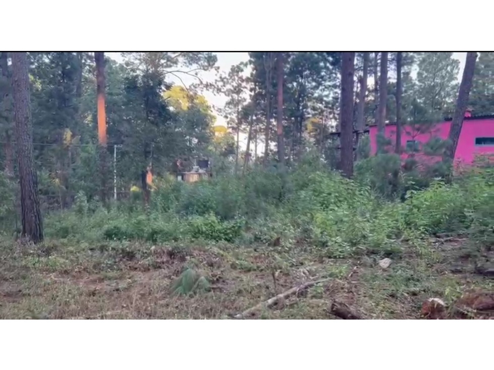 TERRENO EN VENTA EN CERRO GORDO P — foto 3