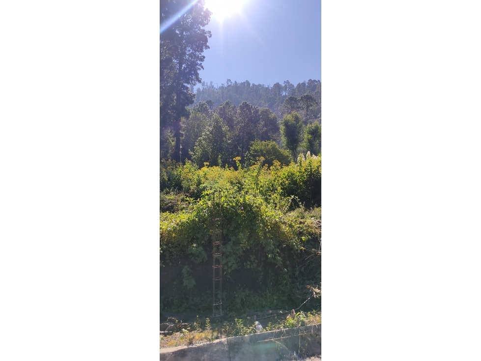 TERRENO EN VENTA EN CERRO GORDO P — foto 3