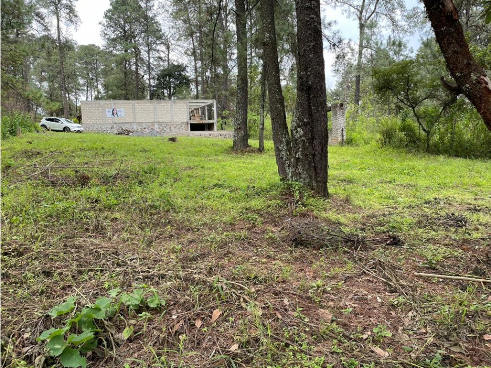 TERRENO EN VENTA EN SAN GABRIEL IXTLA P — foto 3