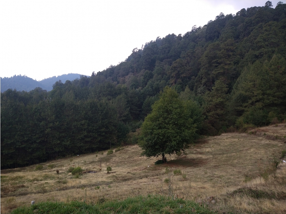 Terreno en Venta los Saúcos Valle de Bravo C — foto 4
