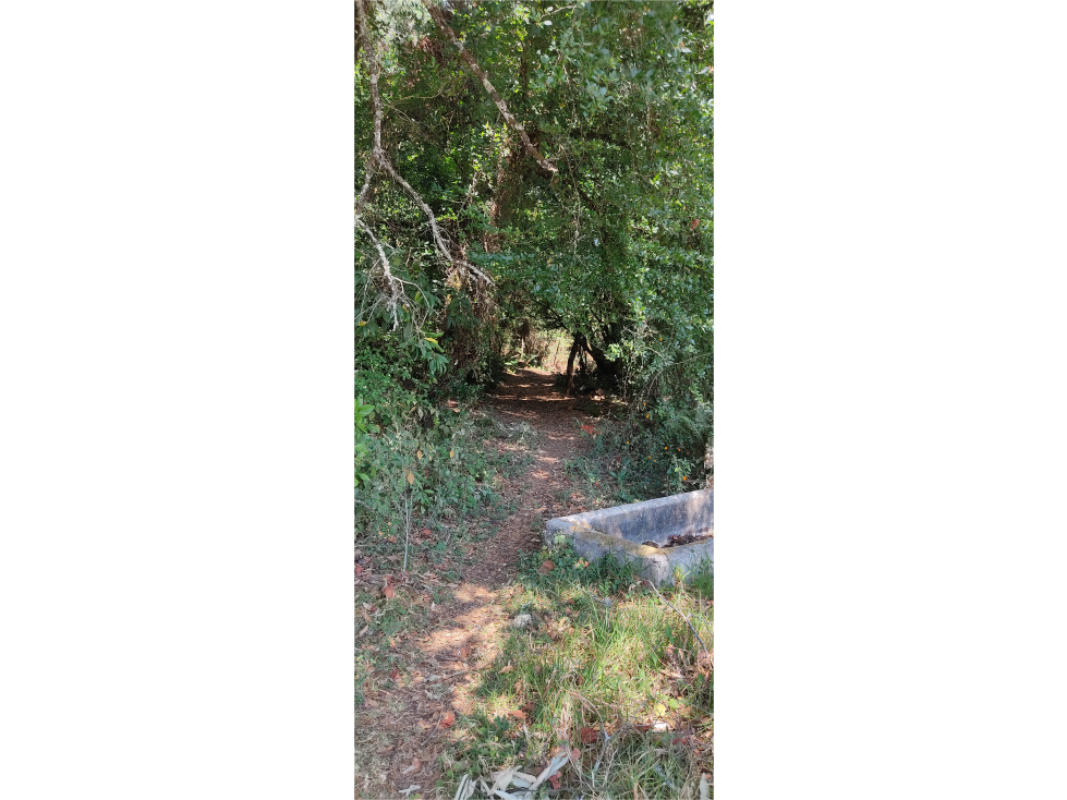 TERRENO EN VENTA EN EL FRESNO P — foto 3