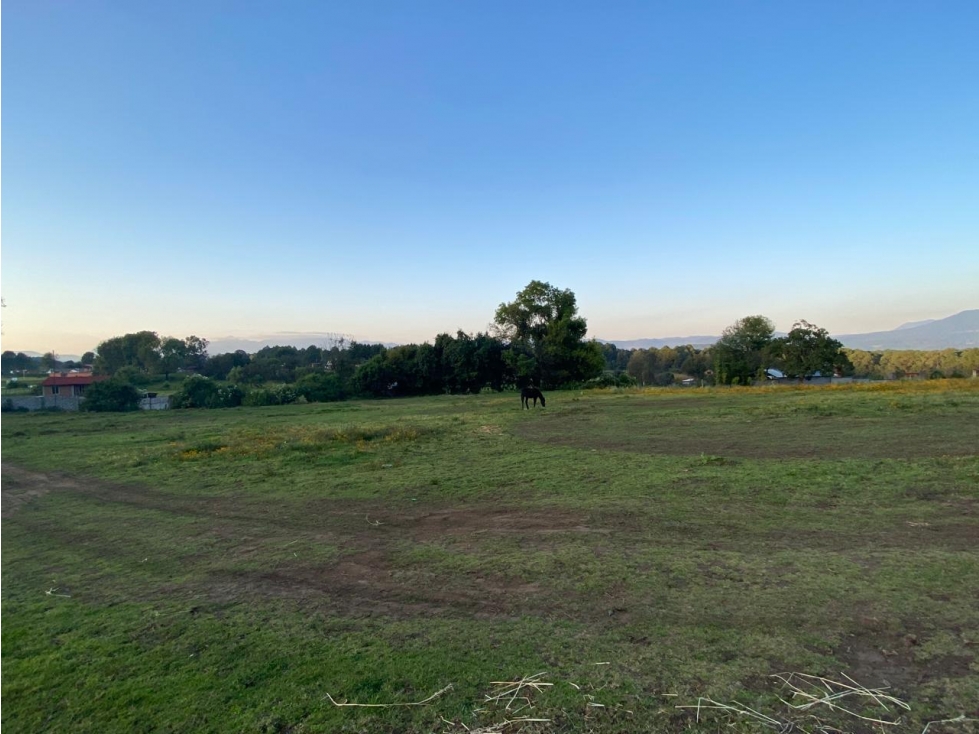 TERRENO EN VENTA EN VALLE DE BRAVO, ZONA CERRO GORDO P — foto 2