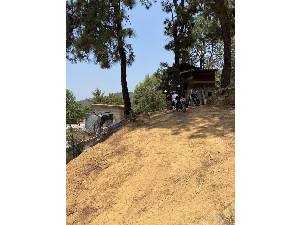 Terreno en venta en colonos M — foto 3