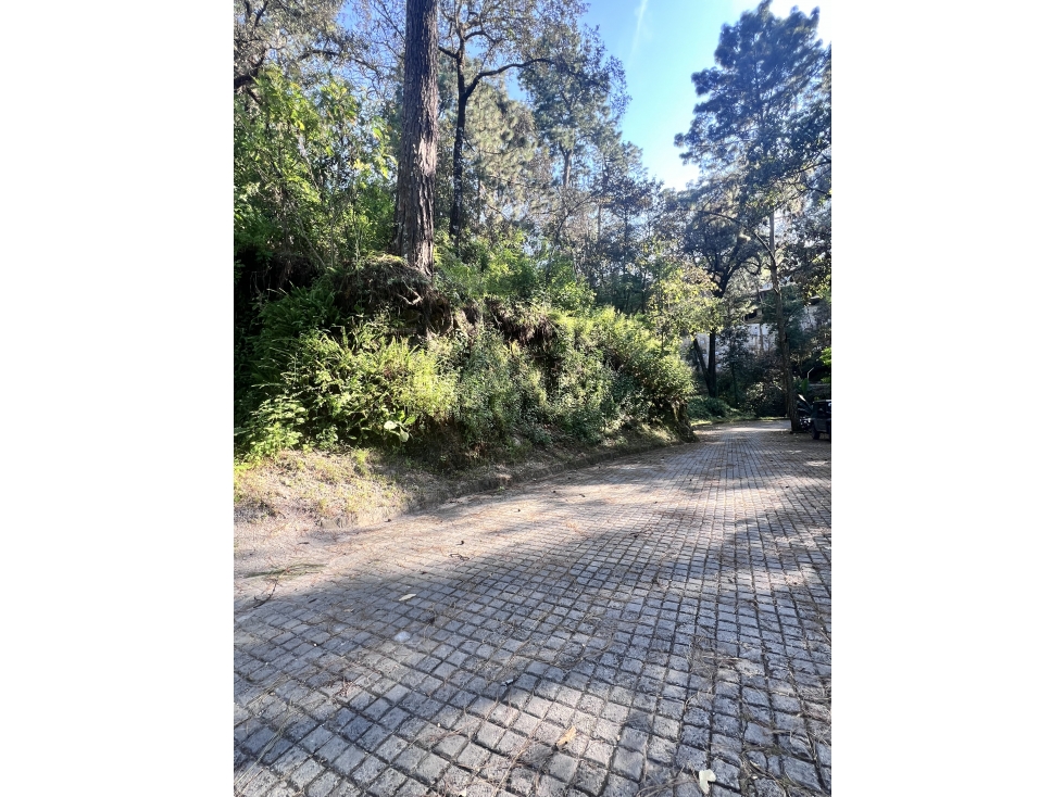 Espectacular terreno en venta en Avandaro — foto 3