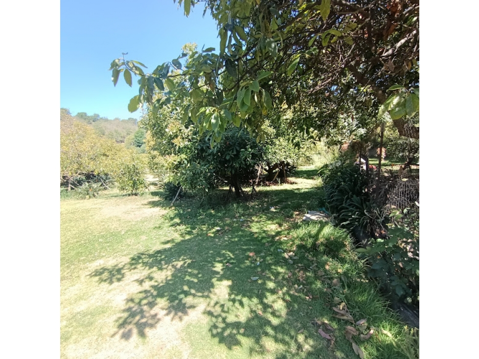 TERRENO EN SAN BARTOLO AMANALCO — foto 4