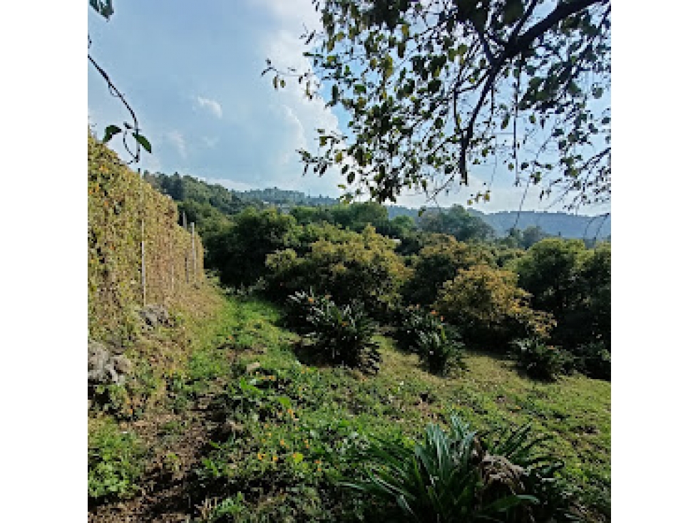 HERMOSO TERRENO EN AMANALCO DE BECERRA — foto 4