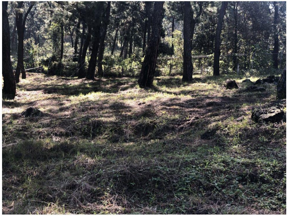 TERRENO EN VENTA EN VALLE DE BRAVO P — foto 6