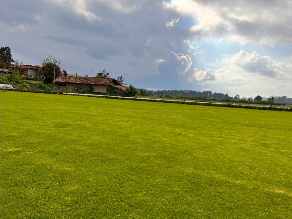 CASA EN RENTA EN LOS SAUCOS P — foto 4