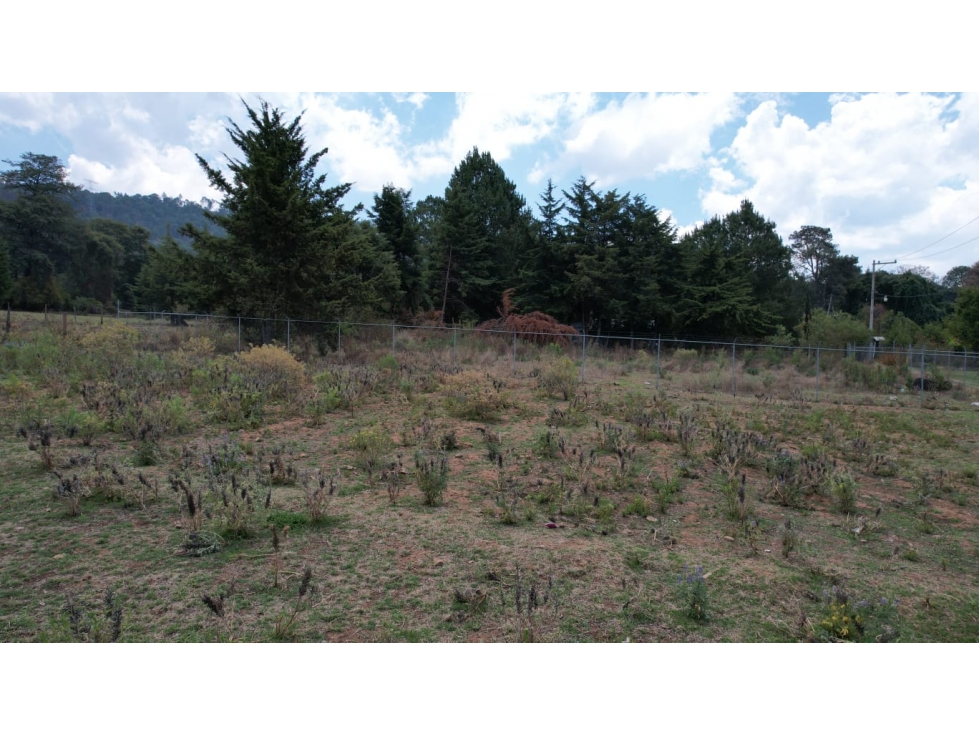 TERRENO EN VENTA EN SAN GABRIEL IXTLA P — foto 4