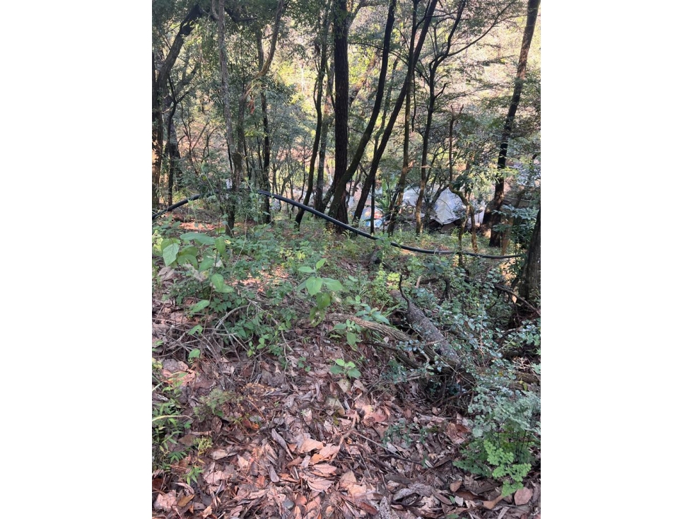 TERRENO EN VENTA ZONA AVANDARO P — foto 4