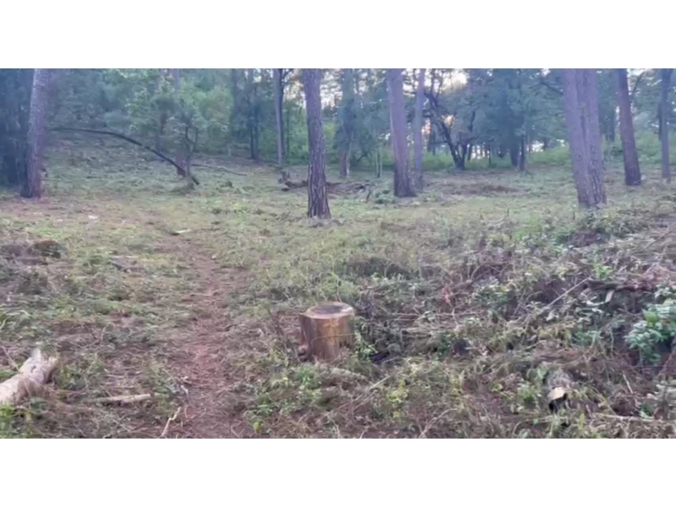 TERRENO EN VENTA EN CERRO GORDO P — foto 4