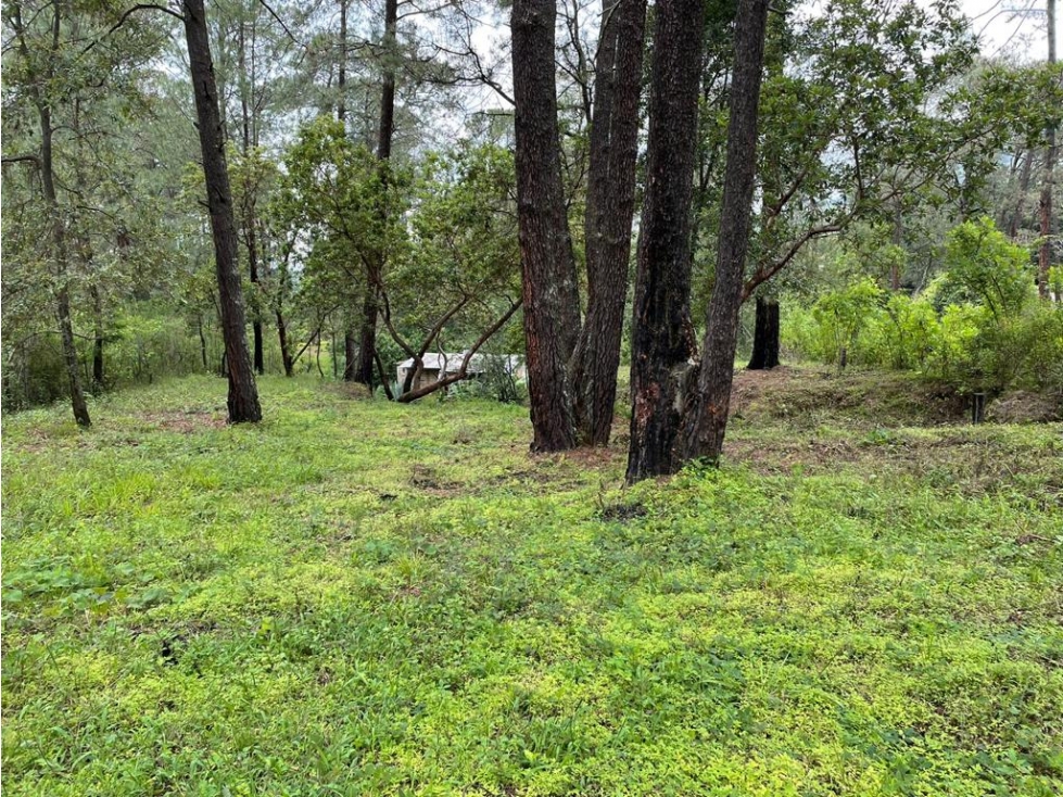TERRENO EN VENTA EN SAN GABRIEL IXTLA P — foto 4